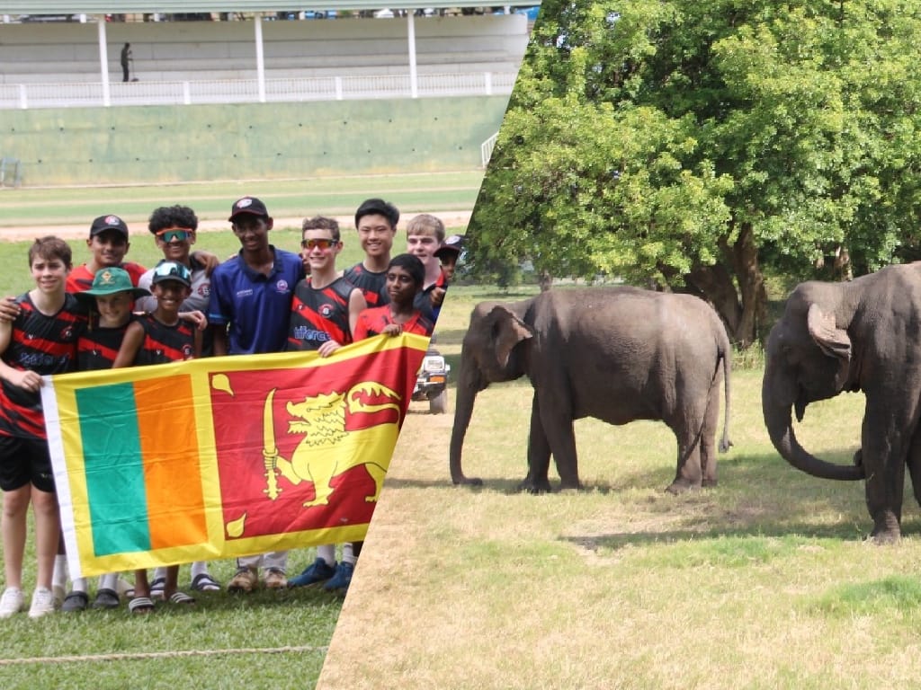 rg sports tours