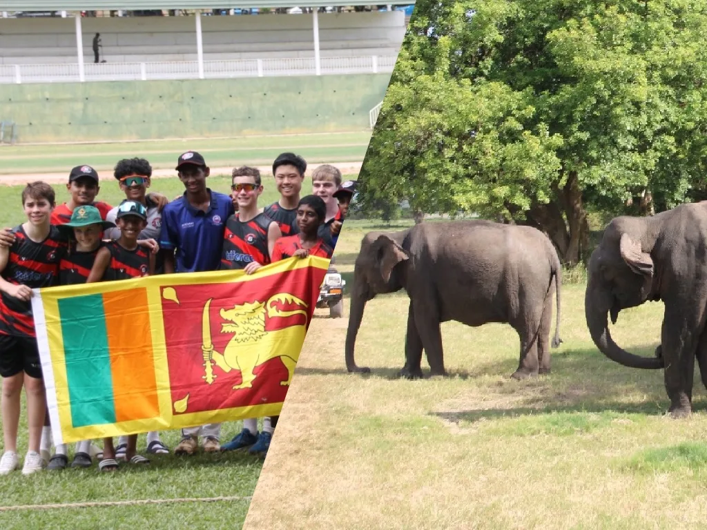 rg sports tours
